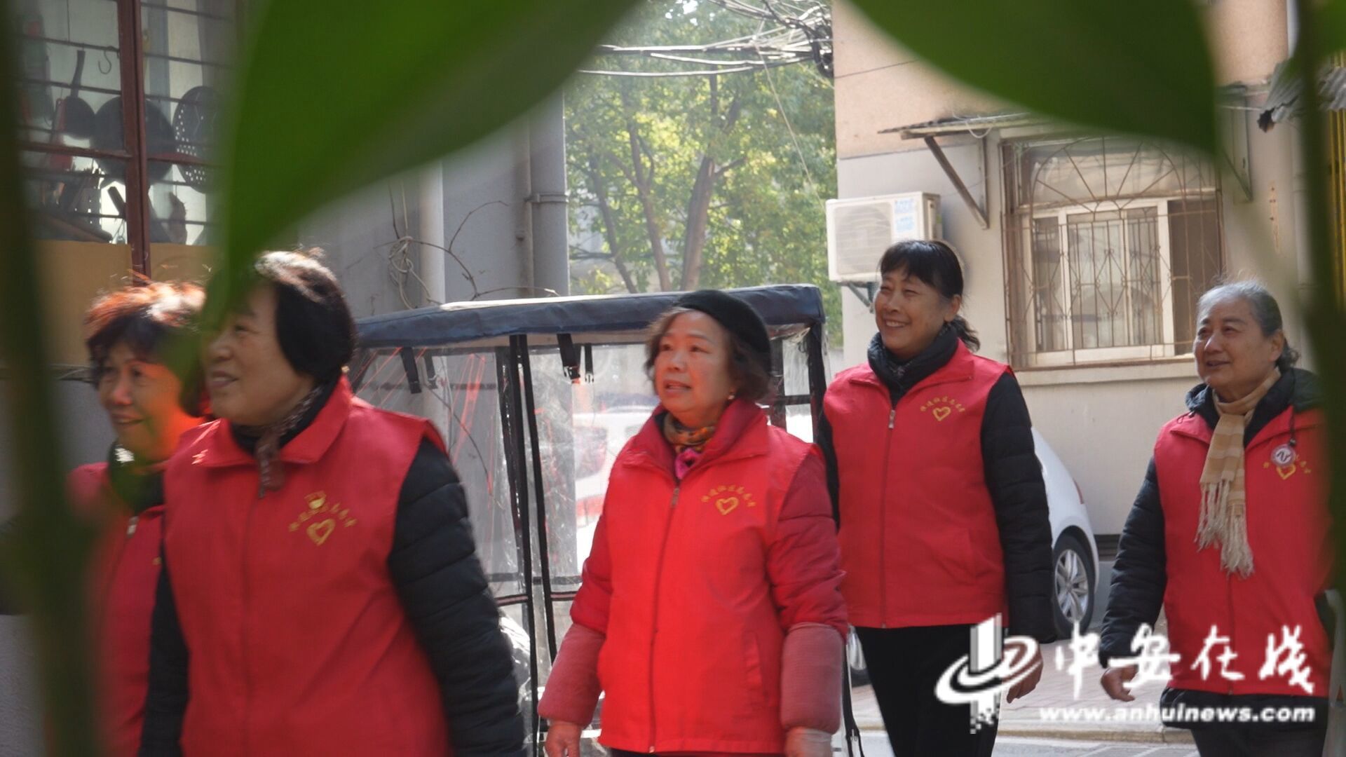 ｜“窗帘之约”的无声守护k8凯发一触即发中安观察(图1)