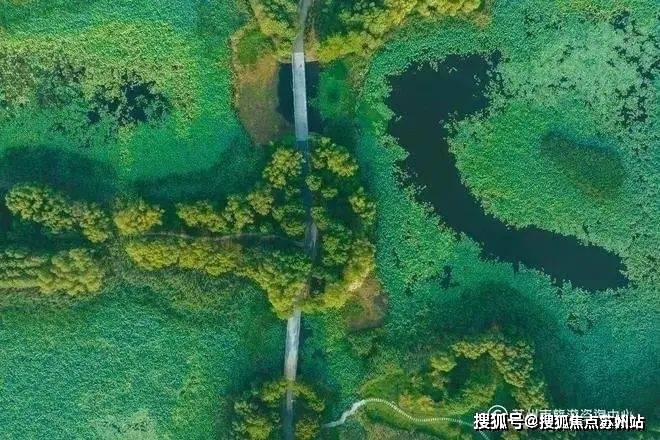 盘评测-鹿溪雅园售楼中心详情户型 小区配套k8凯发鹿溪雅园售楼处欢迎您 2025楼(图30)